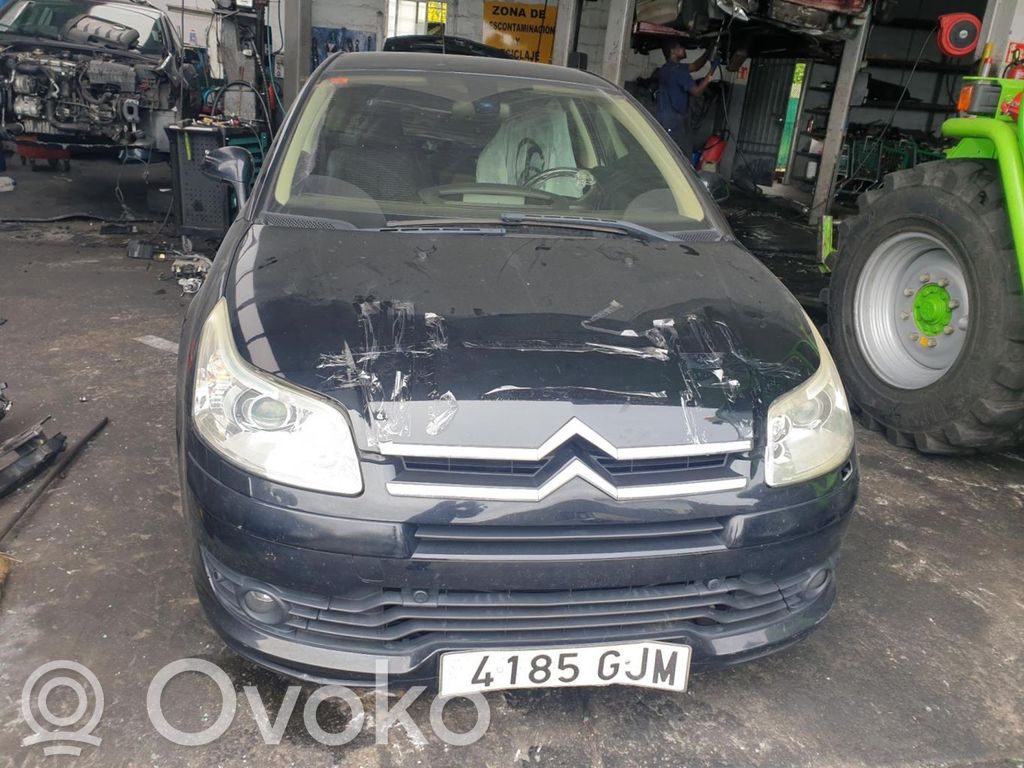 C4 I C4 Picasso, Grand Picasso, Aircross, Cactus  9685590380