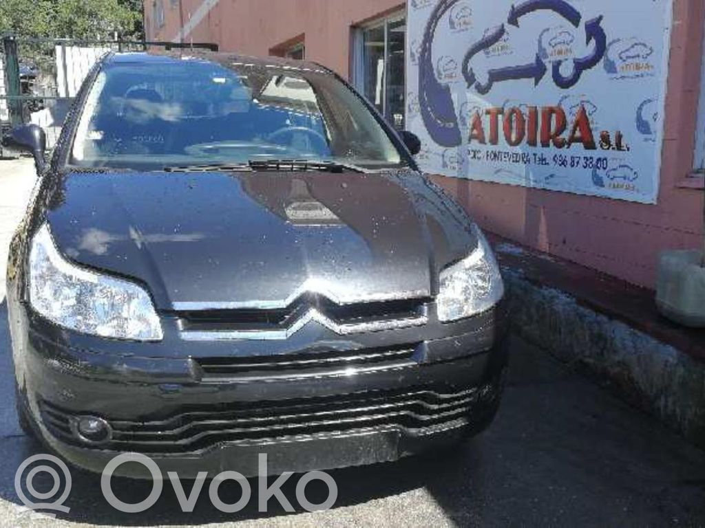 C4 I C4 Picasso, Grand Picasso, Aircross, Cactus  4CZX13451B