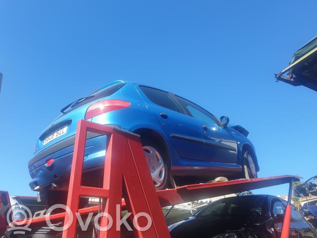 206+ 206, 206+  9648836480