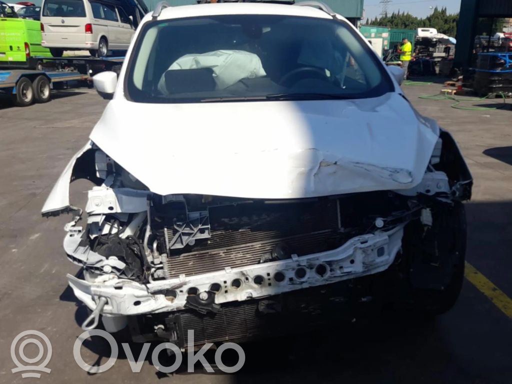 Kuga I Kuga  2069202