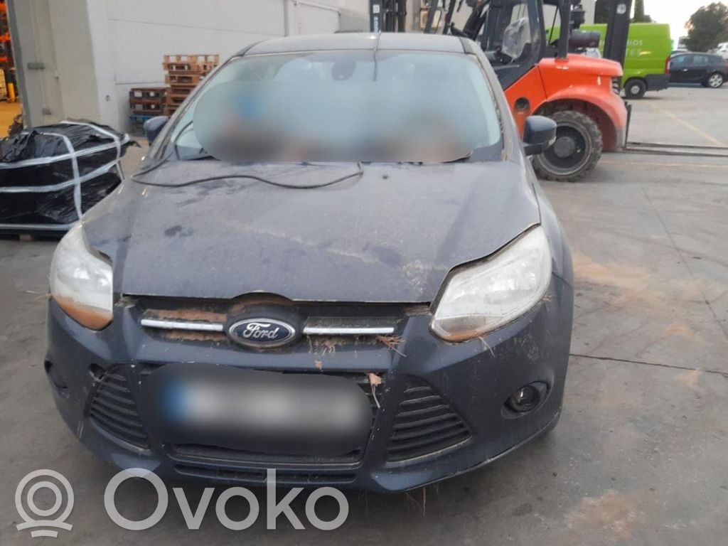 Focus Focus  1769302