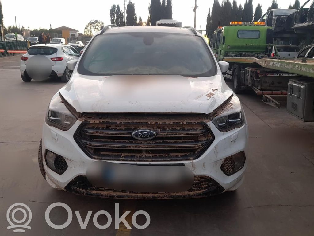 Kuga I Kuga  2128749