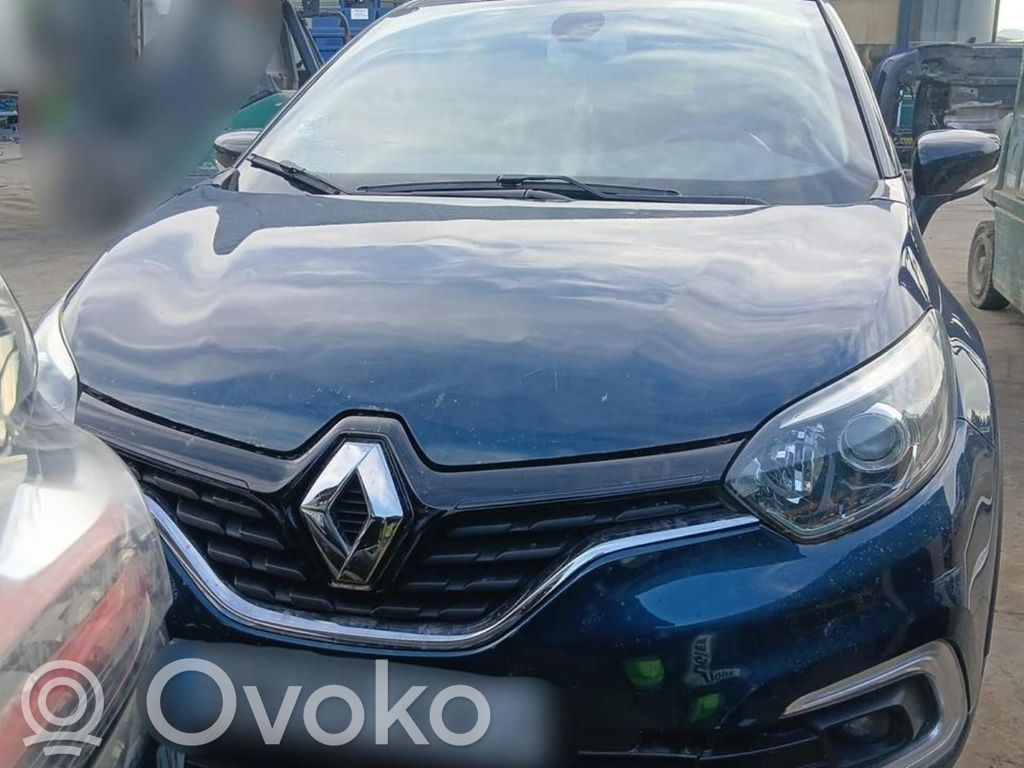 Captur Captur  255405718R