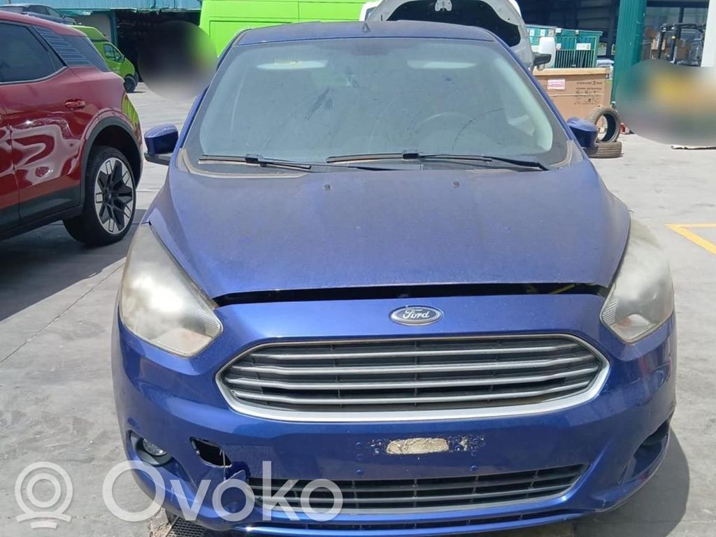Ka Ka  1906589