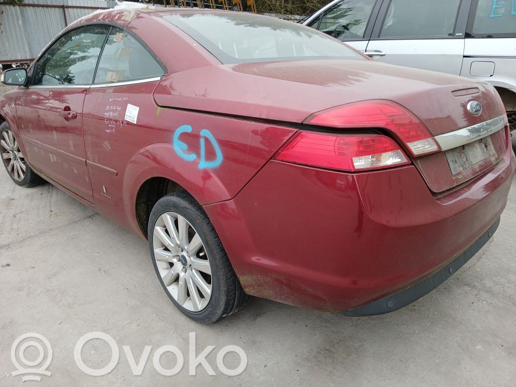 Focus Focus  1451741