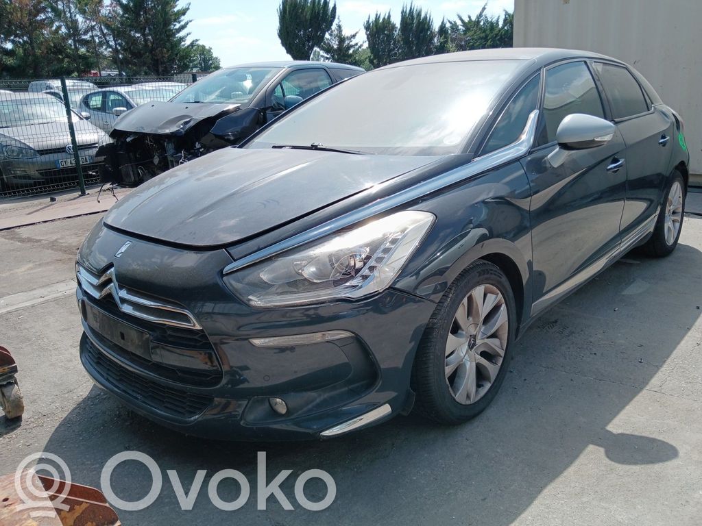 DS5 DS5