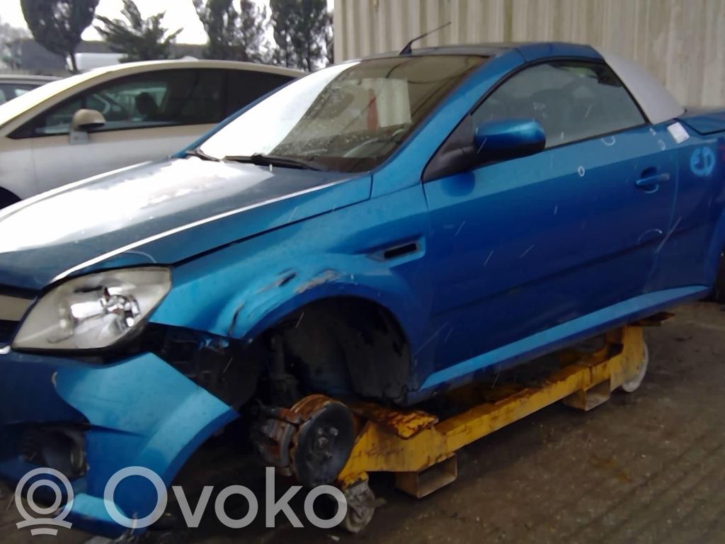 Tigra B Tigra  13169358