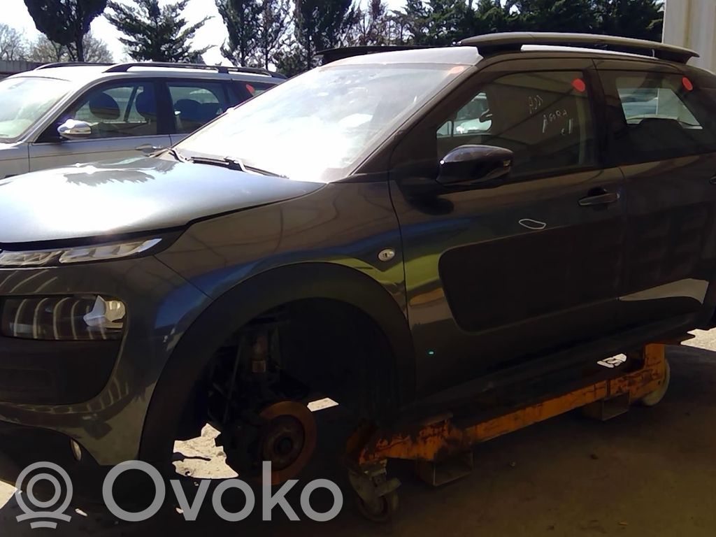 C4 Cactus C4 Picasso, Grand Picasso, Aircross, Cactus  1616777280