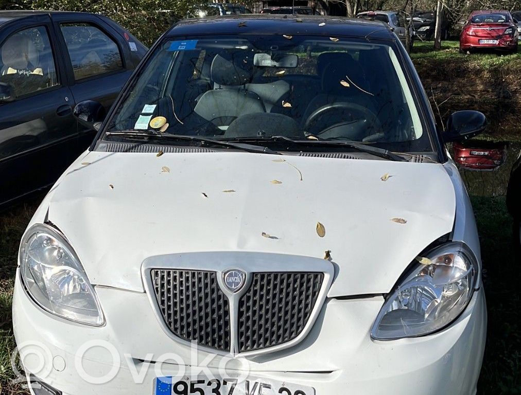 Ypsilon Ypsilon  71777505