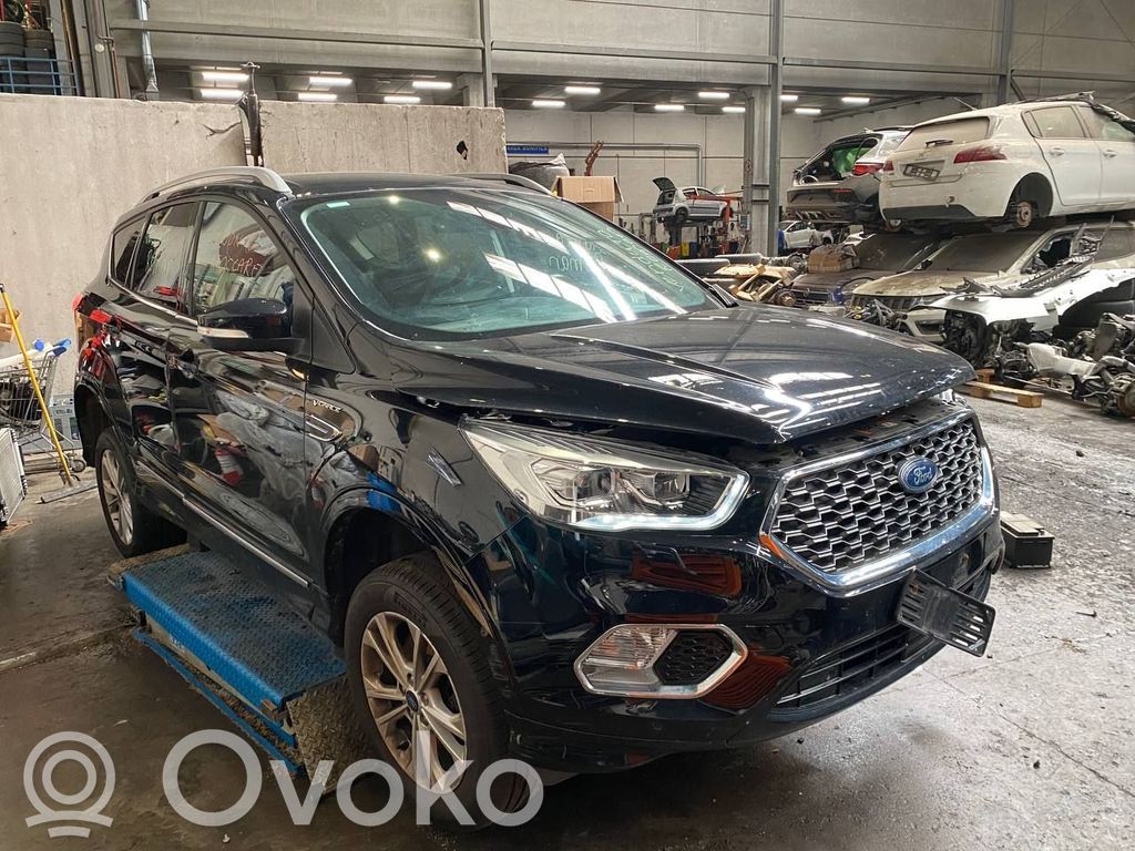 Kuga II Kuga