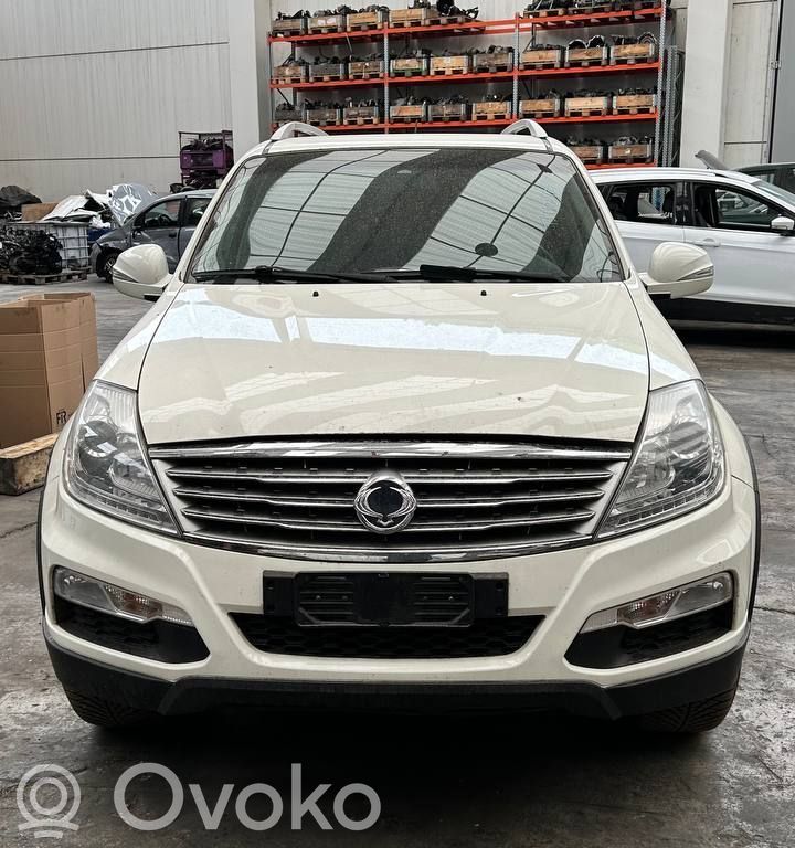 Rexton Rexton  6715400432