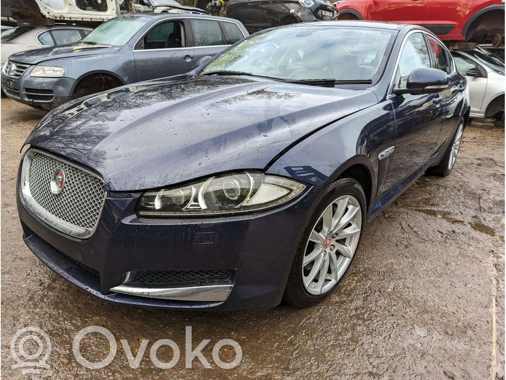 XF XF  DX2370G239BA