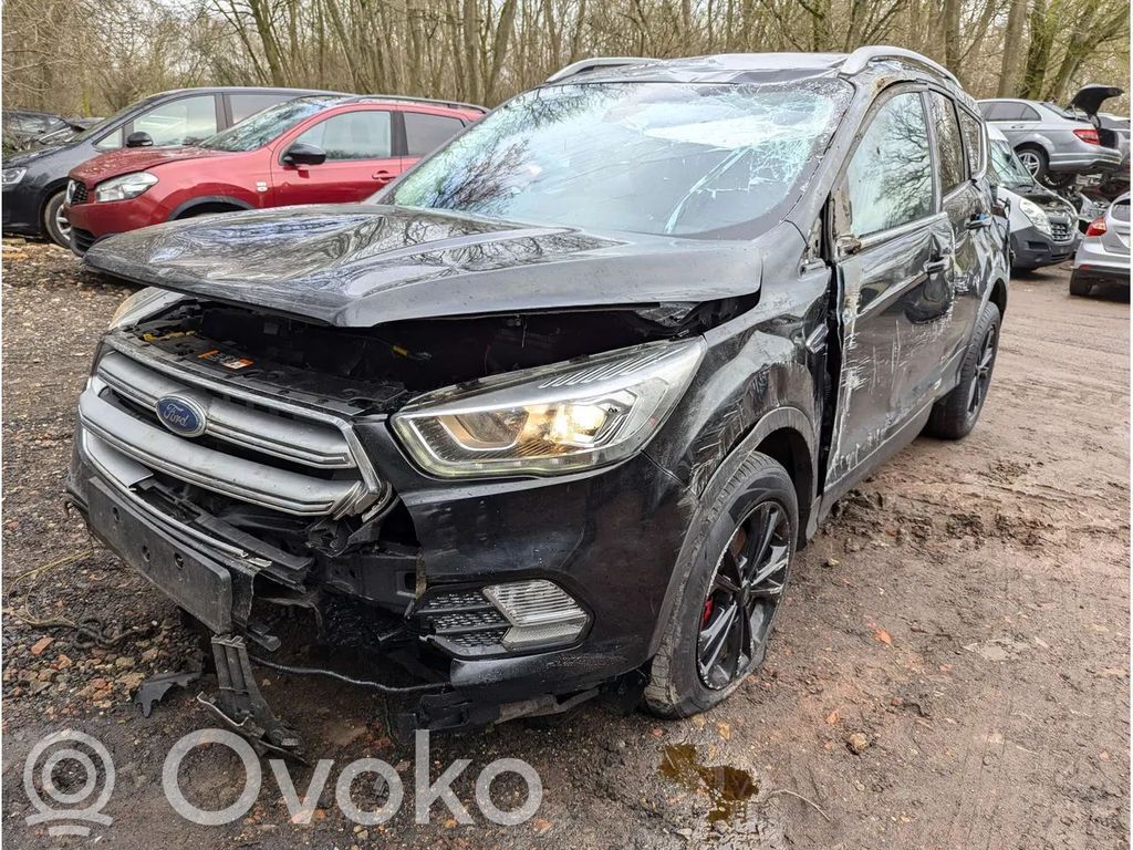 Kuga II Kuga