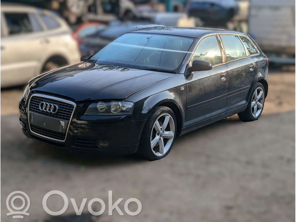 A3 S3 8P A3, S3  CAXC