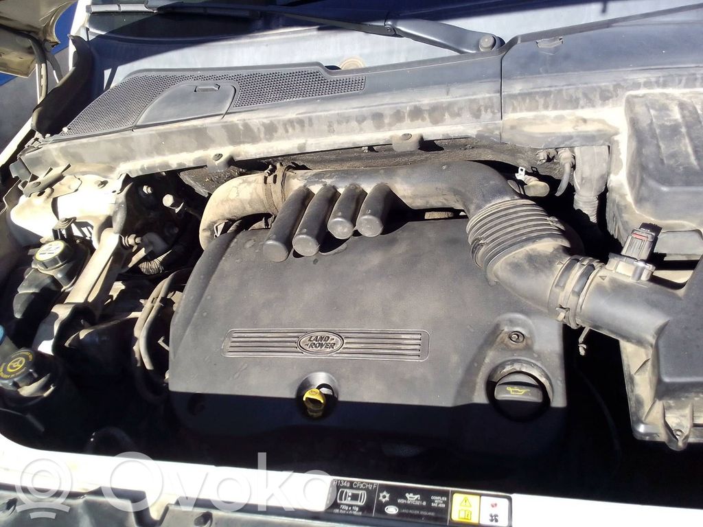 Freelander 2 - LR2 Freelander  AG9N2C405CA