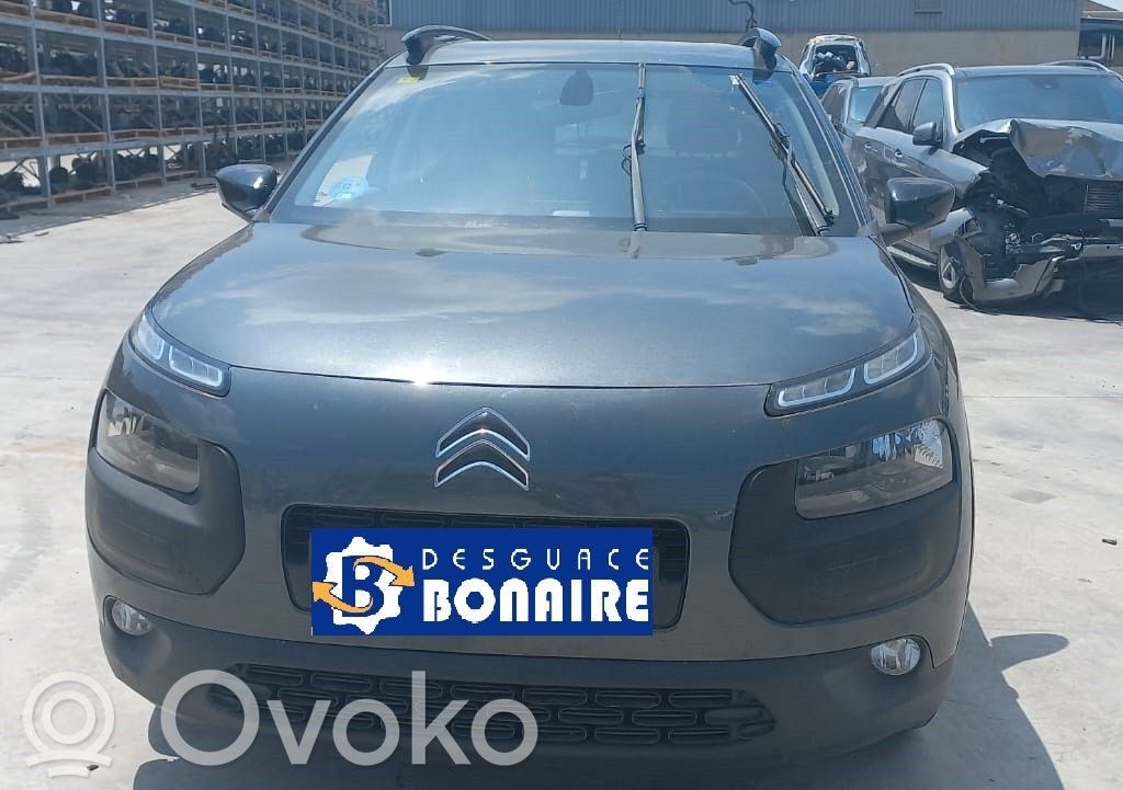 C4 Cactus C4 Picasso, Grand Picasso, Aircross, Cactus  1611428480