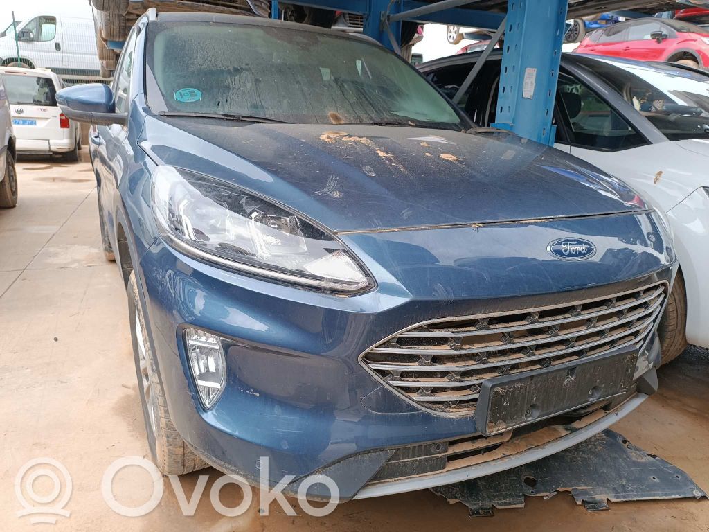 Kuga III Kuga  2549906