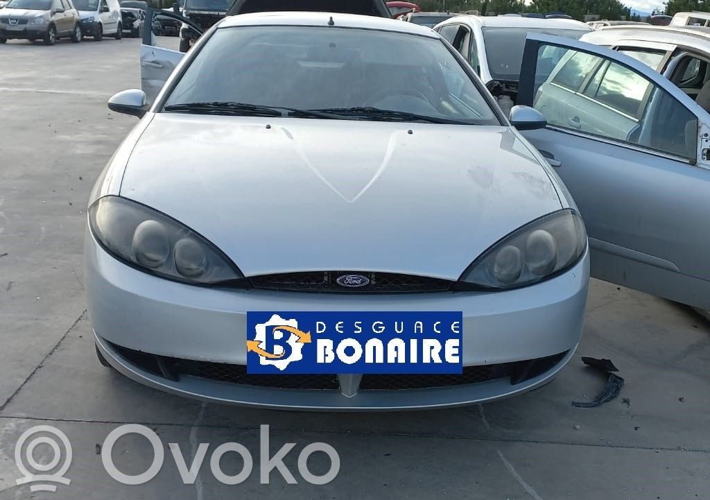 Cougar Cougar  98BF9B989