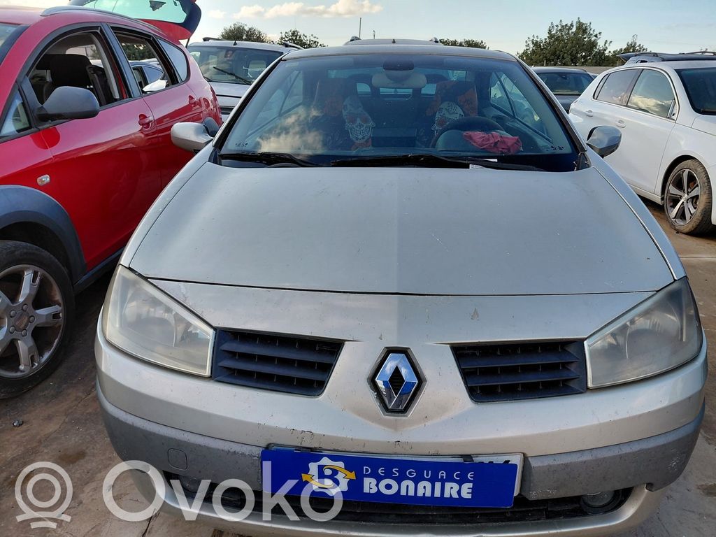 Megane II Megane  8200667610