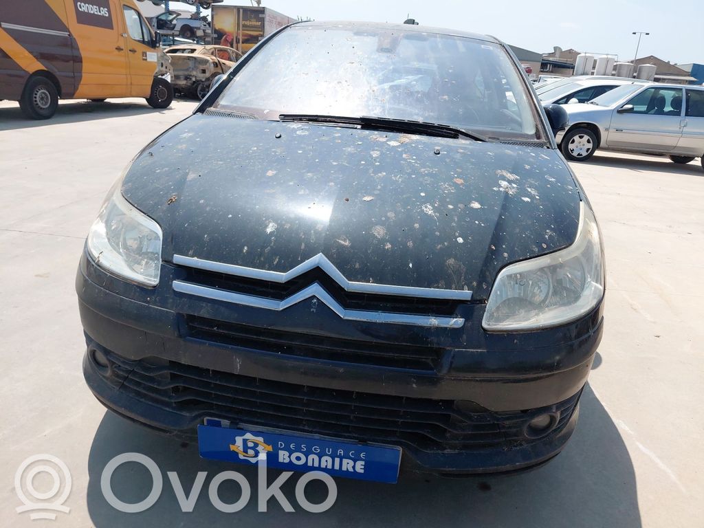 C4 I C4 Picasso, Grand Picasso, Aircross, Cactus  6580Y5