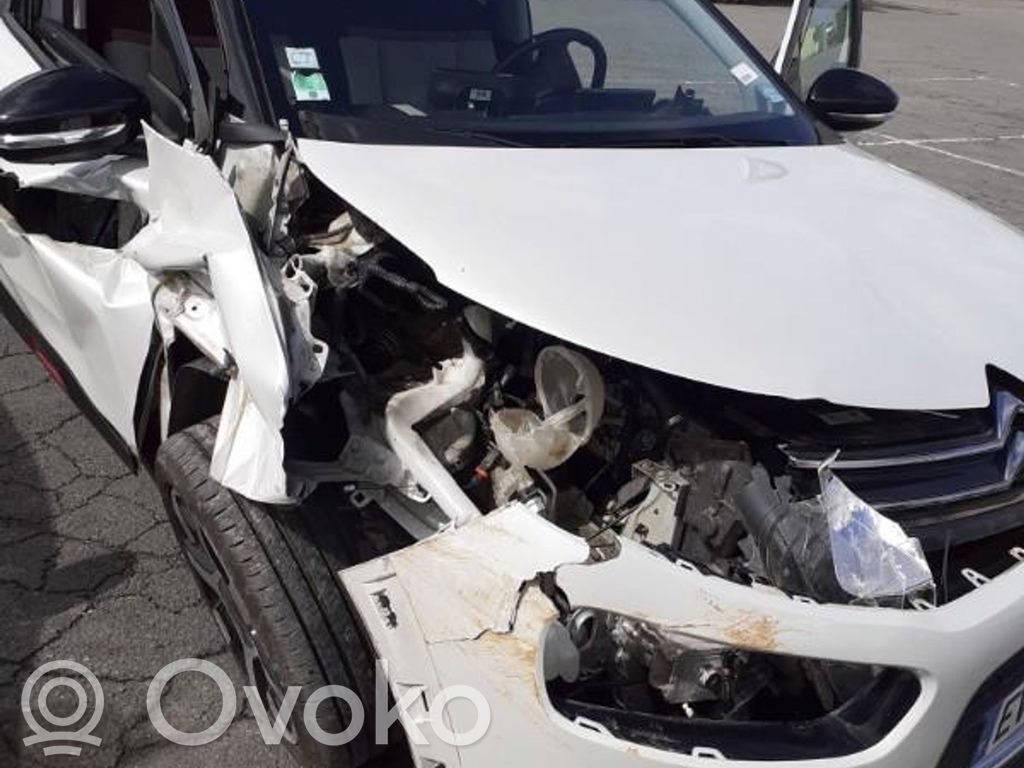 C4 Cactus C4 Picasso, Grand Picasso, Aircross, Cactus  9801662777