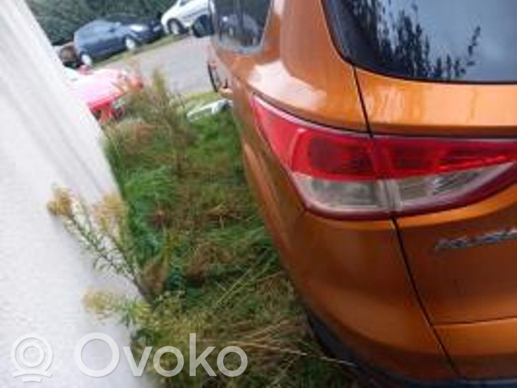 Kuga II Kuga  5110131