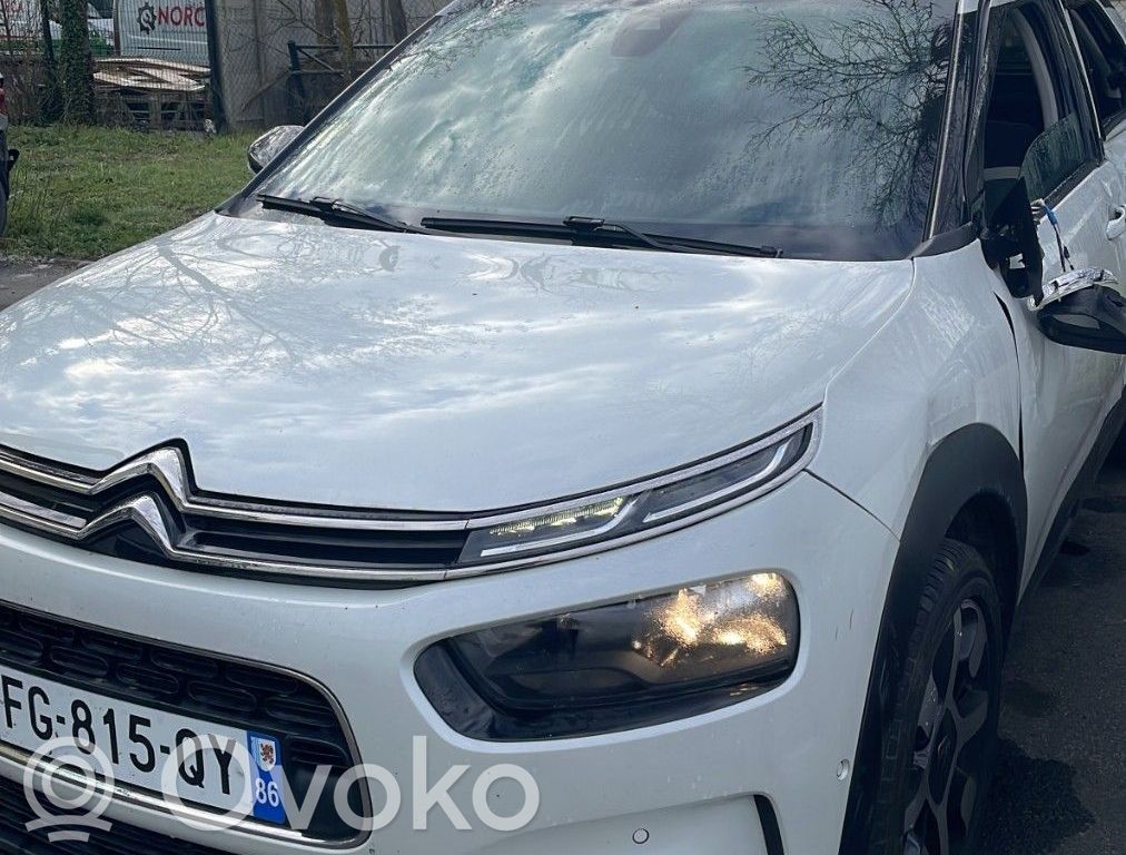 C4 Cactus C4 Picasso, Grand Picasso, Aircross, Cactus  98303131ZD