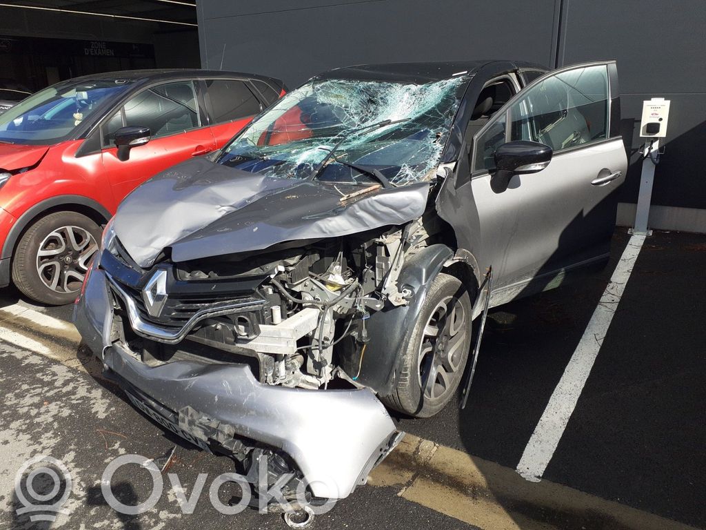 Captur Captur  544017519R