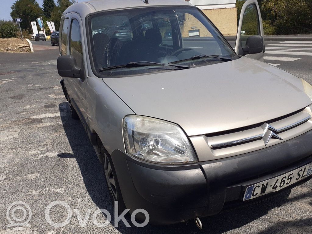 Berlingo Berlingo  00004541FF