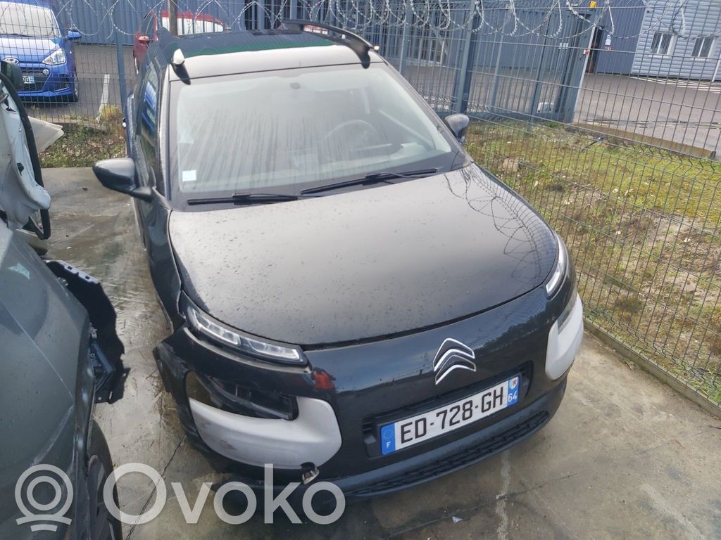 C4 Cactus C4 Picasso, Grand Picasso, Aircross, Cactus  1618093480
