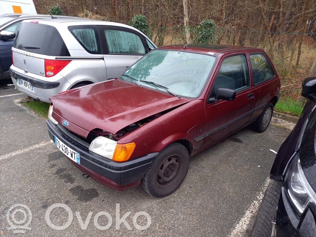 Fiesta Fiesta  54022160D