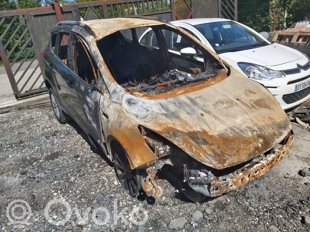 Kuga II Kuga  1837225