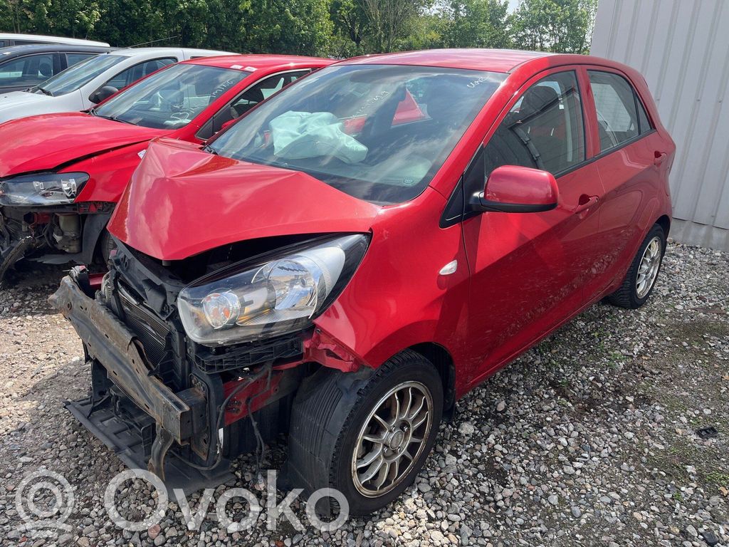 Picanto Picanto  3911104656
