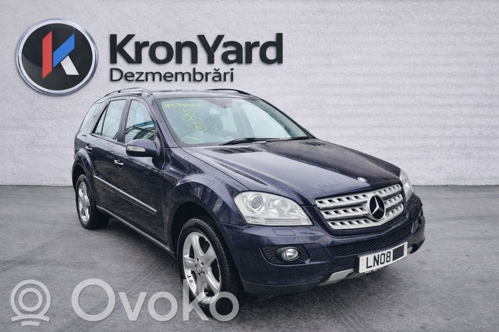 ML W164 ML-class, AMG (W163, W164, W166)  1645000049