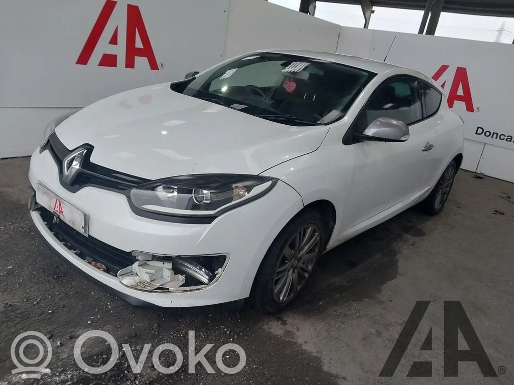 Megane III Megane  255670042R