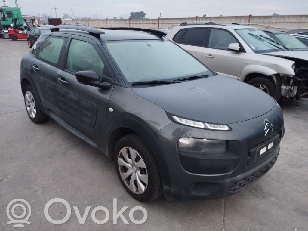 C4 Grand Picasso C4 Picasso, Grand Picasso, Aircross, Cactus  9801521780