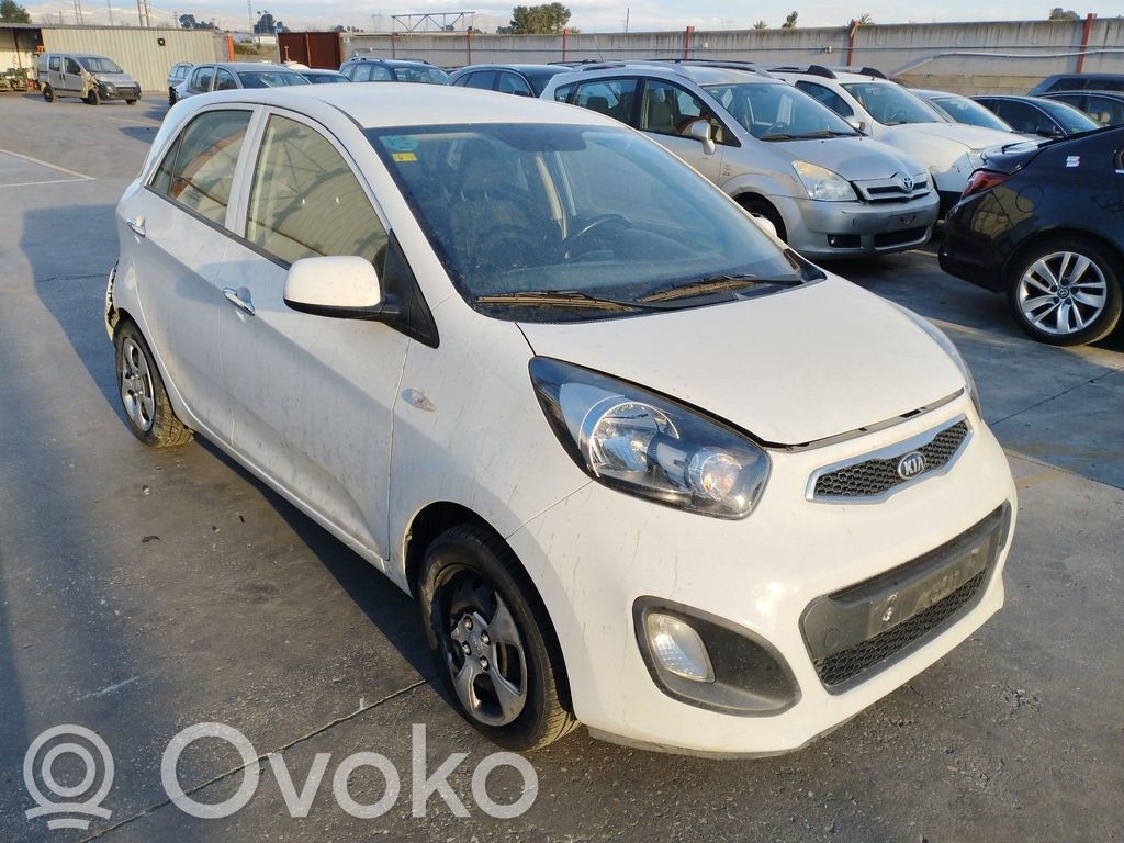 Picanto Picanto  585101Y100