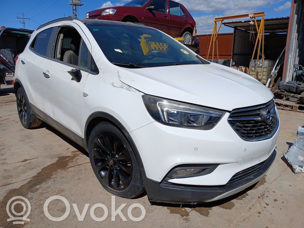 Mokka X Mokka  42543361