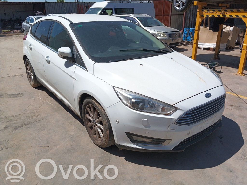 Focus Focus  41516736P