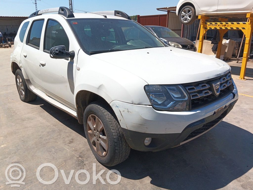 Duster Duster  484302824R
