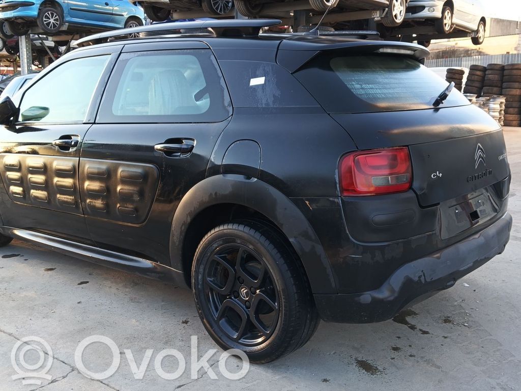 C4 Cactus C4 Picasso, Grand Picasso, Aircross, Cactus  9676534880