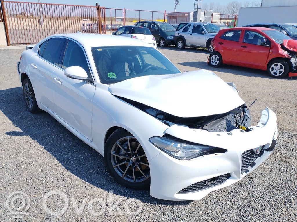 Giulia Giulia  50538366
