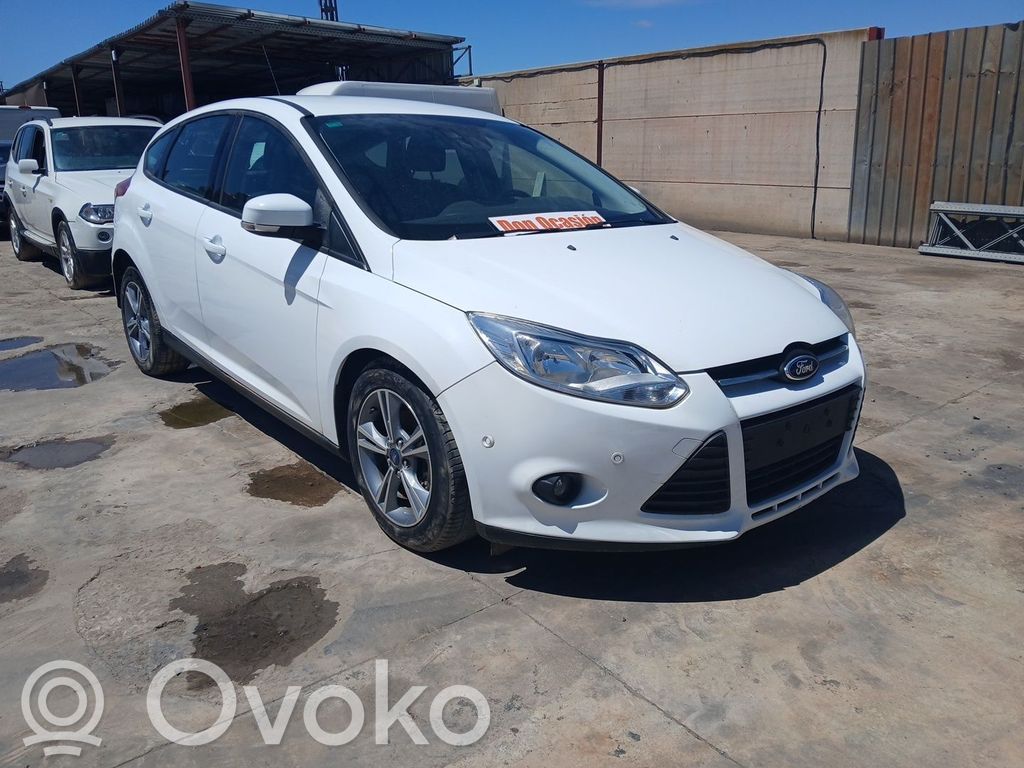Focus Focus  1719357
