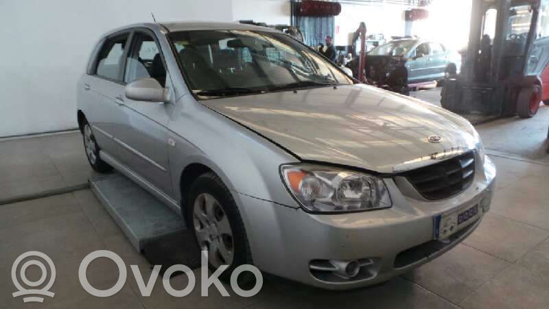 Cerato Cerato  933102F000IM