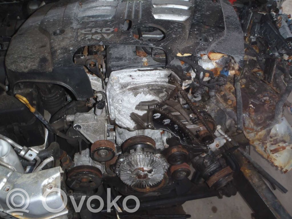 Sorento Sorento  954603E000