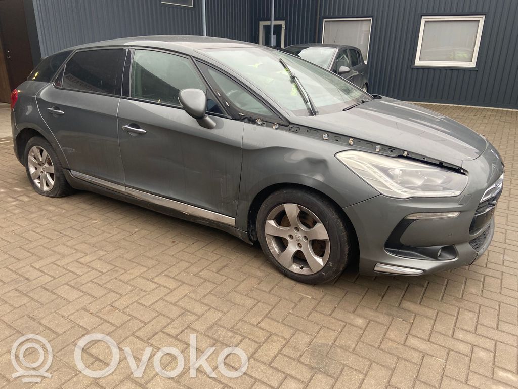 DS5 DS5