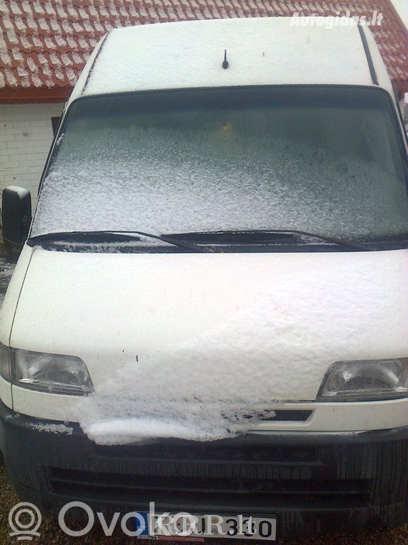 Jumper Jumper  37502277
