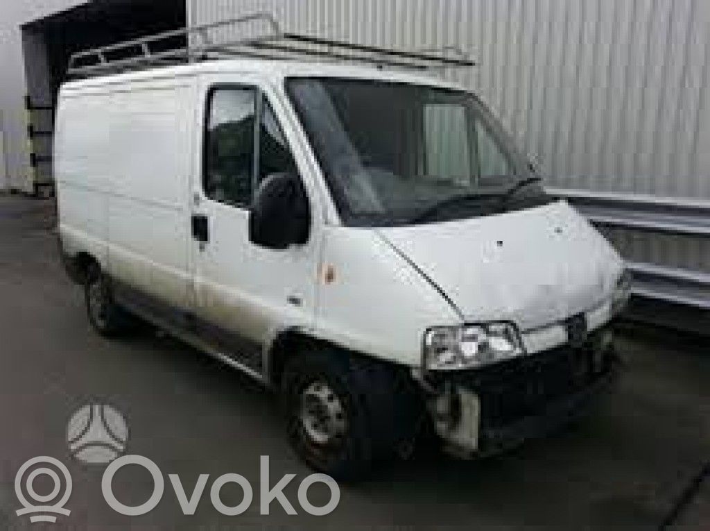 Boxer Boxer  T164827
