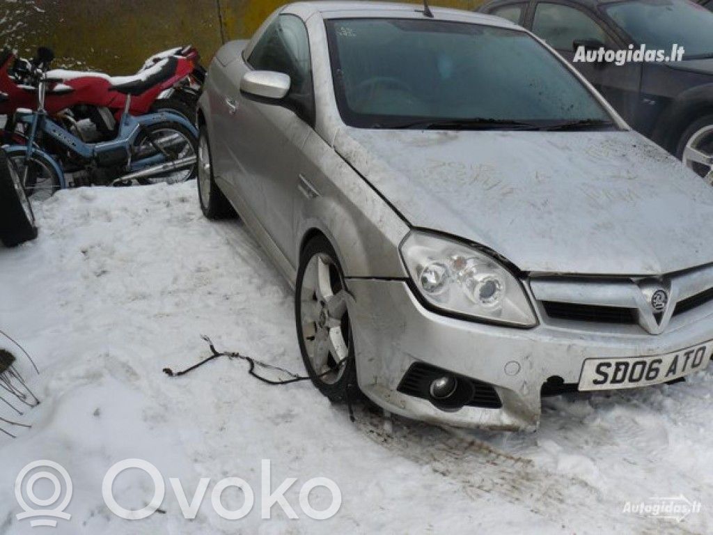 Tigra B Tigra  031111C