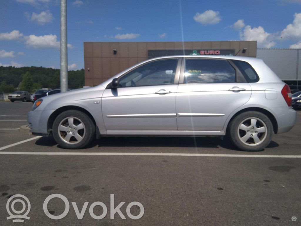Cerato Cerato